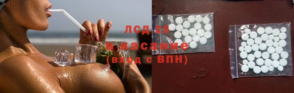 эйфоретик Алзамай
