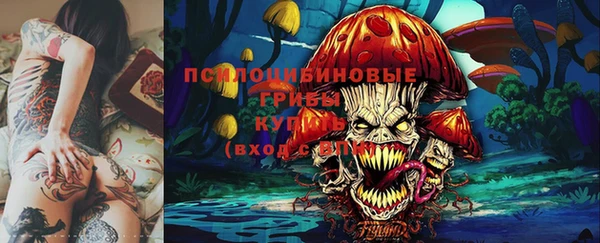 эйфоретик Алзамай