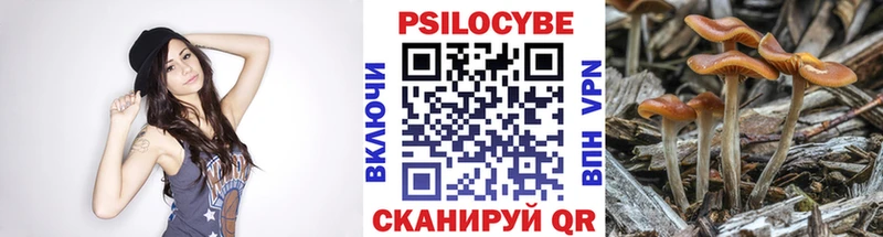 Псилоцибиновые грибы мухоморы  OMG ССЫЛКА  Ладушкин  где купить  